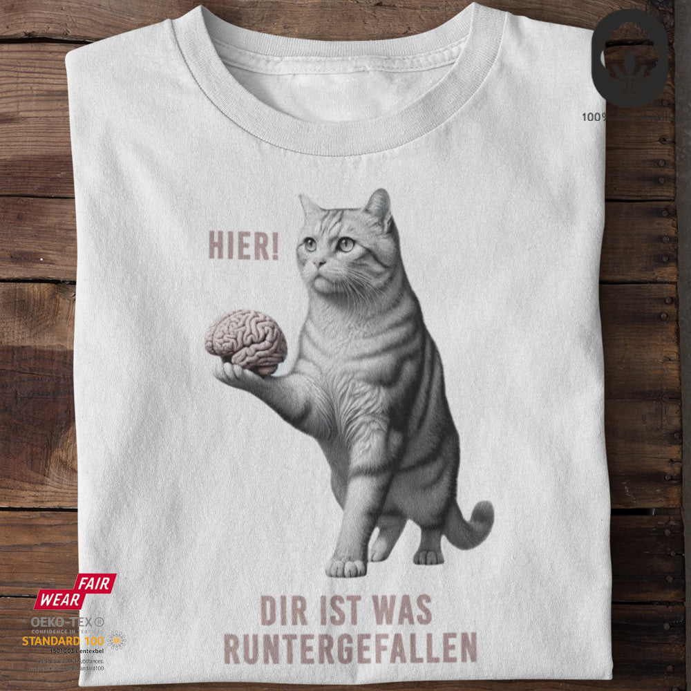 Hier Dir Ist Was Runtergefallen