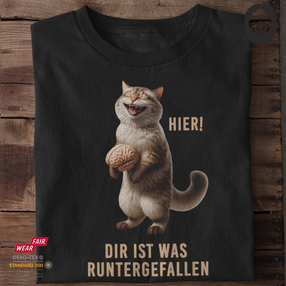 Hier Dir Ist Was Runtergefallen