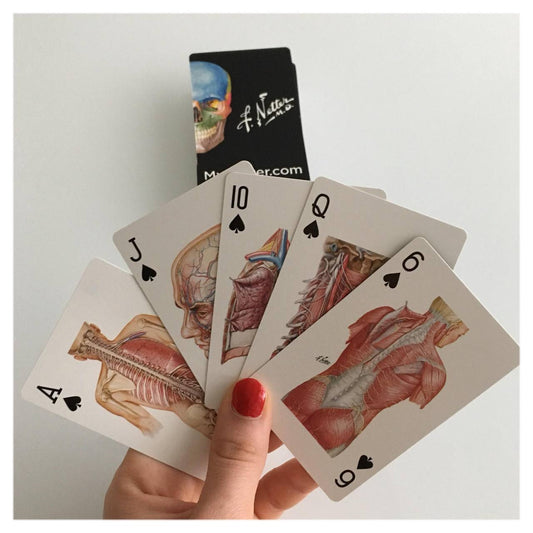 Anatomy Spielkarten – Klassische Anatomie auf 52 Karten