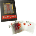 Anatomie Deck – Lernen im Spiel, Schicht für Schicht