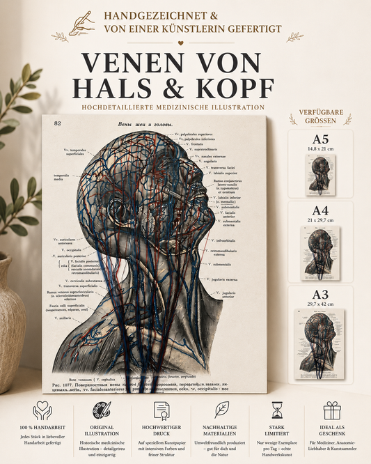 Handbestickte Gefäße von Kopf & Hals | Anatomischer Kunstdruck
