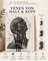 Handbestickte Gefäße von Kopf & Hals | Anatomischer Kunstdruck