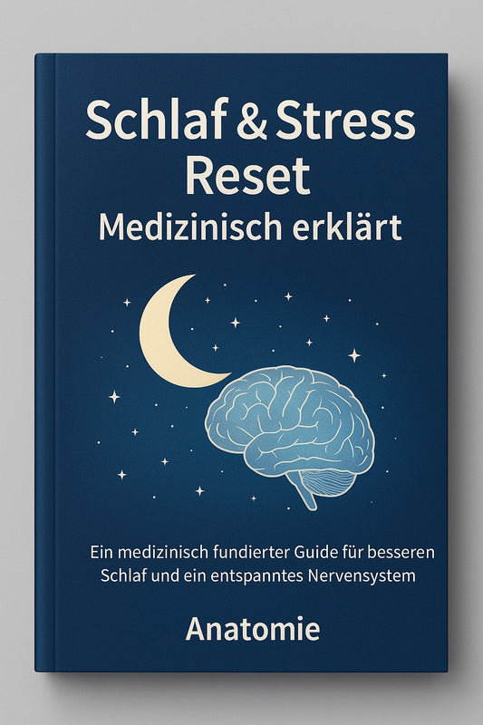 Schlaf und Stress Reset medizinisch Erklärt - Ein medizinisch fundierter Guide für besseren Schlaf und ein entspanntes Nervensystem