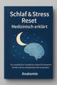 Schlaf und Stress Reset medizinisch Erklärt - Ein medizinisch fundierter Guide für besseren Schlaf und ein entspanntes Nervensystem