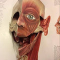 Buch: Der Menschliche Körper – Limitierte 3D-Edition mit beweglichen Illustrationen. Kostenlos mit Premium-Pass