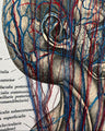 Handbestickte Gefäße von Kopf & Hals | Anatomischer Kunstdruck