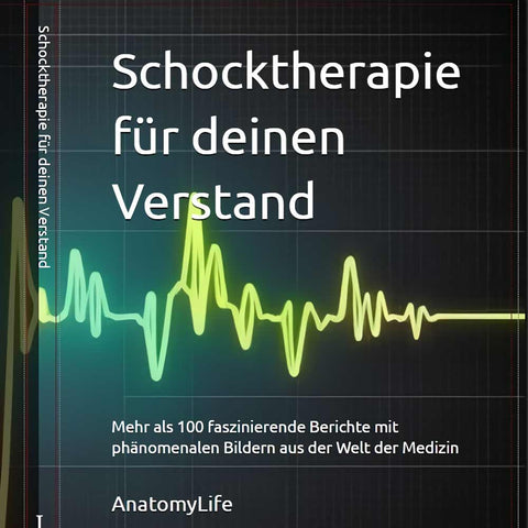 Schocktherapie für deinen Verstand - Buch