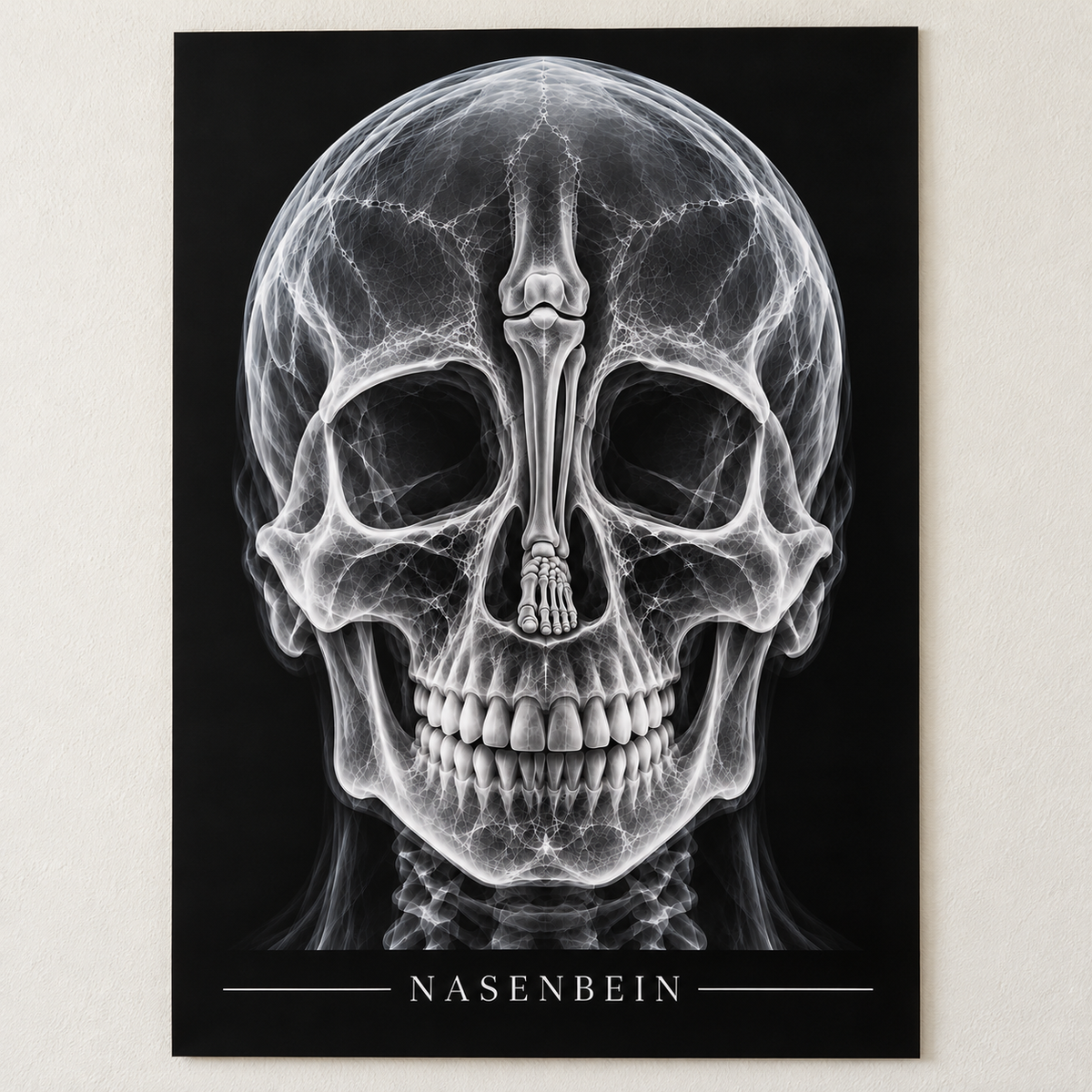 Nasenbein – Anatomie-Poster ohne Rahmen