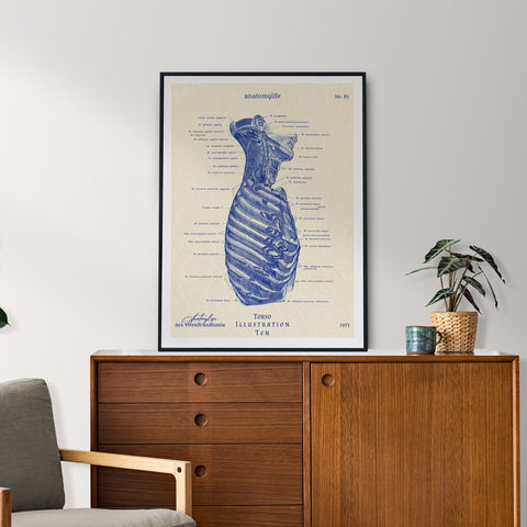 Torso - Illustration No. 10 - Classic Style