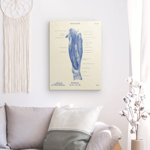 Oberes Bein - Side view - Classic Style