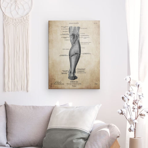 Unteres Bein - Illustration No. 2 - Vintage Style