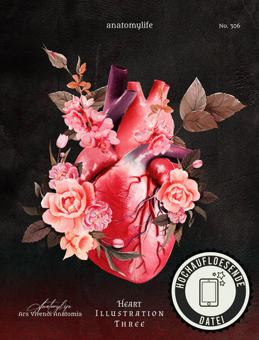 AnatomyLife Heart No. 3 - im Flower Style